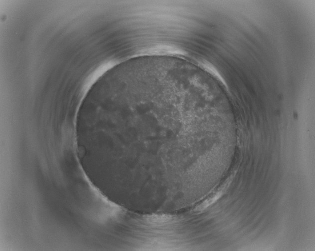 X0000066091087200603171049