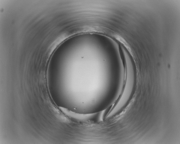 X0000066091089200603171049