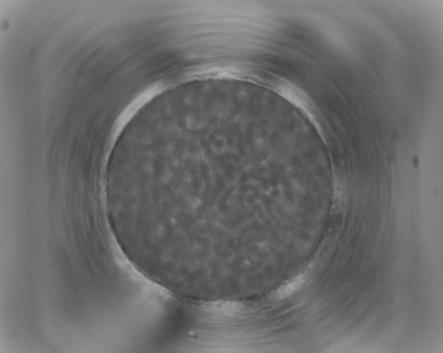 X0000066091090200603171049