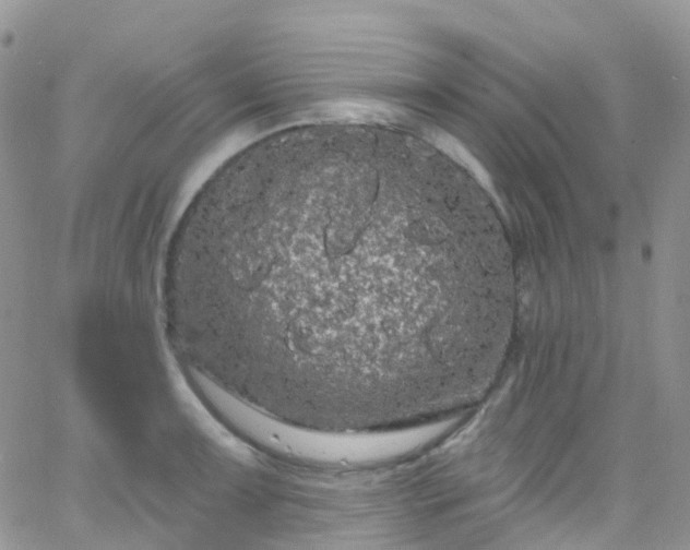 X0000066091091200603171049