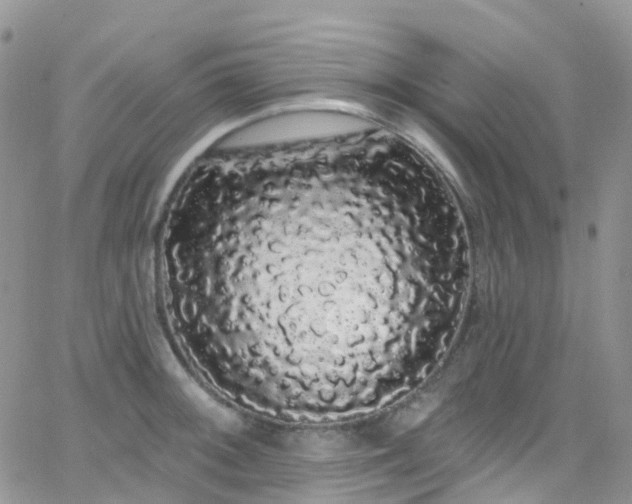 X0000066091092200603171049