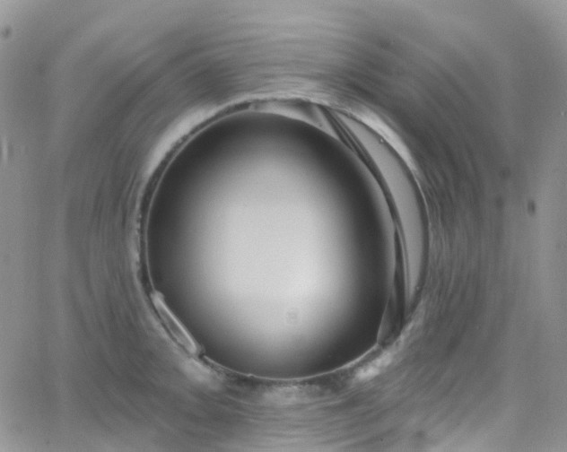 X0000066091093200603171049