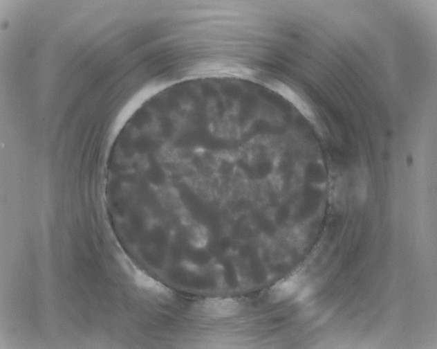 X0000066091094200603171049