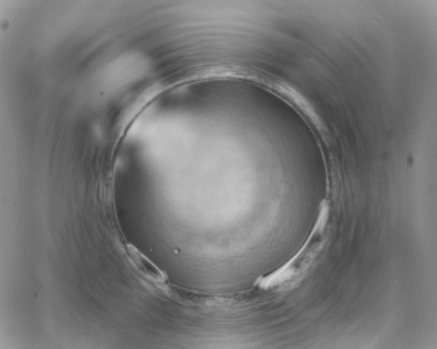 X0000066091097200603171049