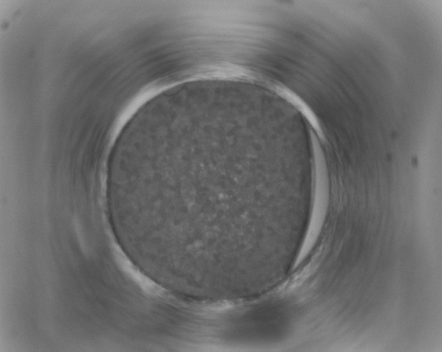 X0000066091099200603171049