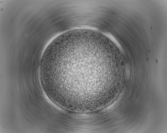 X0000066091100200603171049