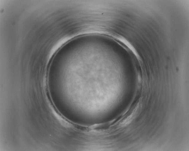 X0000066091101200603171049