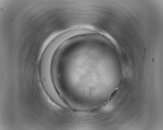 X0000066091102200603171049