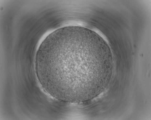 X0000066091104200603171049