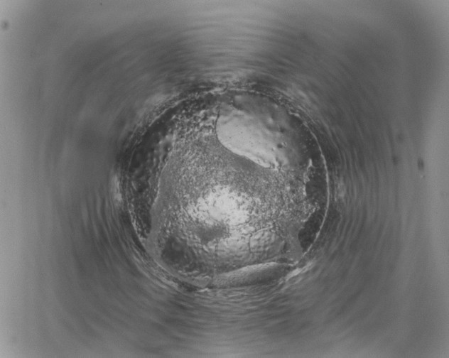 X0000066091106200603171048