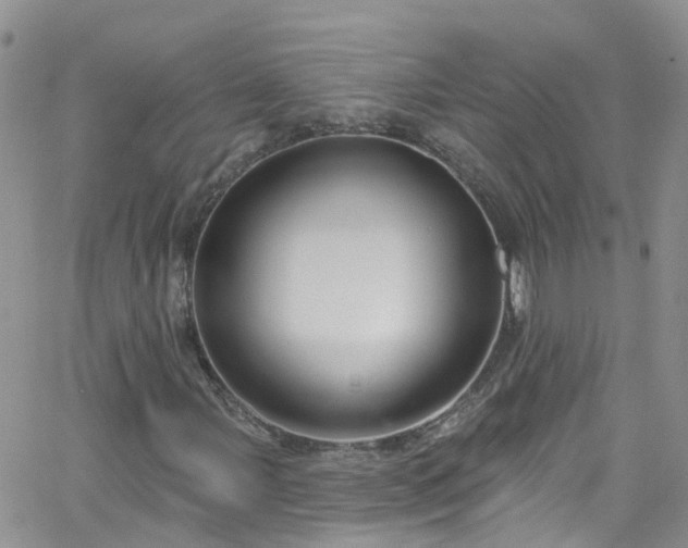 X0000066091107200603171048