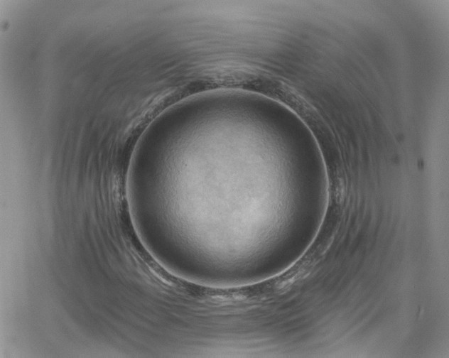 X0000066091108200603171048