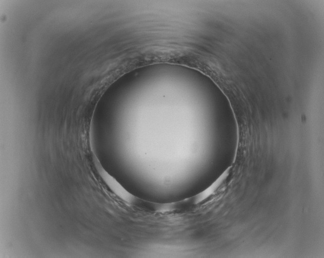 X0000066091109200603171048