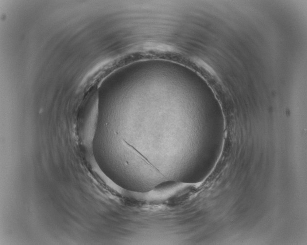 X0000066091112200603171048