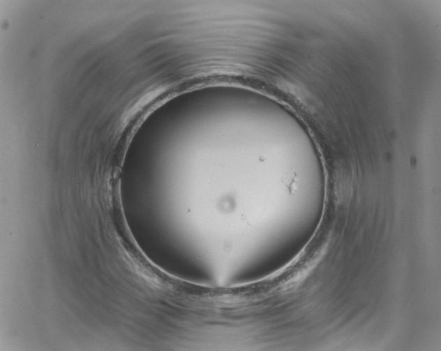 X0000066091113200603171048