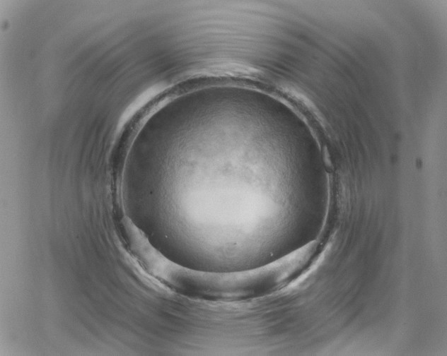 X0000066091114200603171048