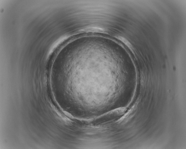 X0000066091115200603171048