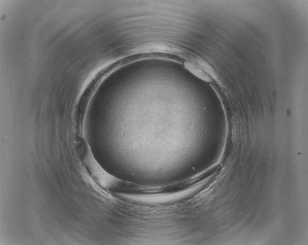 X0000066091116200603171048