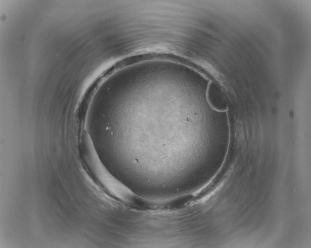 X0000066091118200603171048