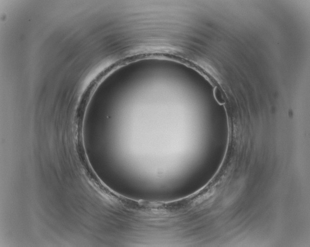 X0000066091119200603171048