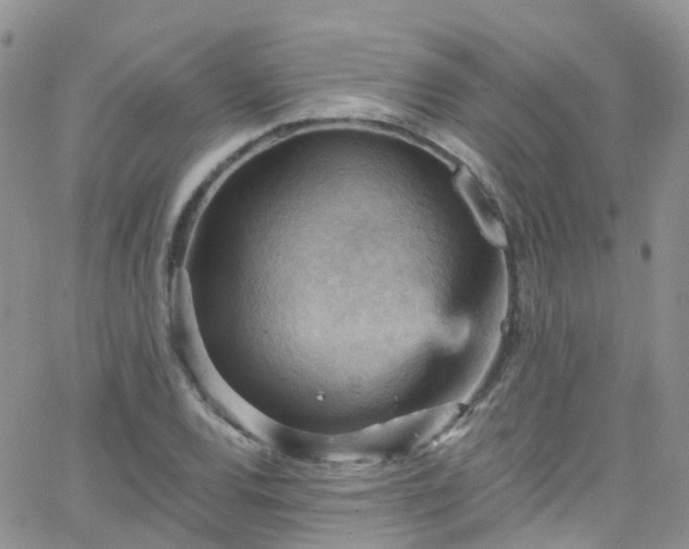 X0000066091120200603171048