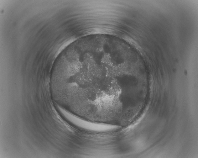 X0000066091121200603171048