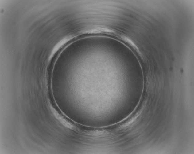 X0000066091122200603171048