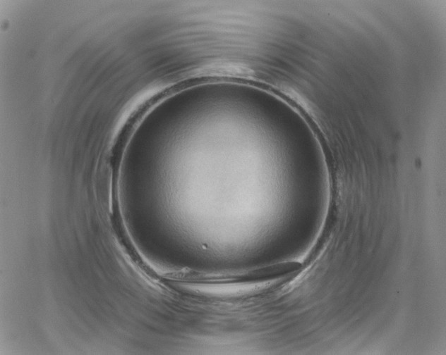 X0000066091123200603171048