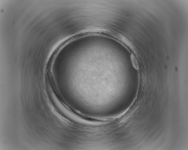 X0000066091124200603171049