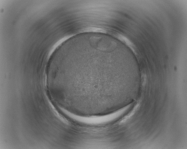 X0000066091125200603171049