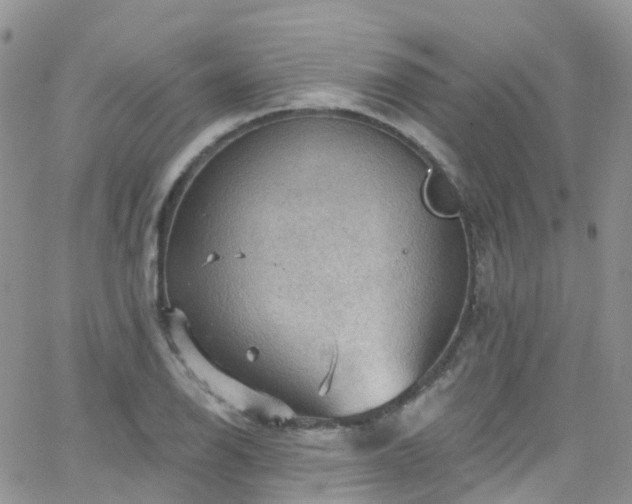 X0000066091126200603171049