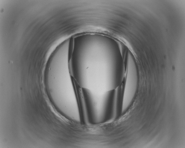 X0000066091128200603171049