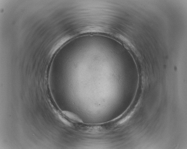 X0000066091129200603171049