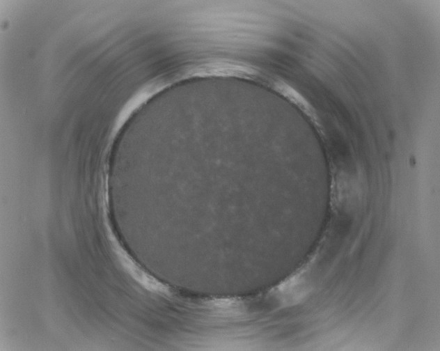 X0000066091130200603171049