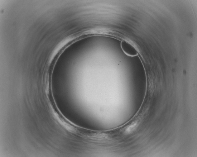 X0000066091131200603171049