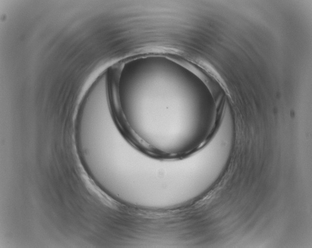 X0000066091132200603171049