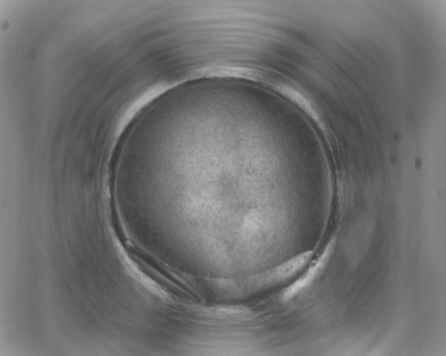 X0000066091133200603171049