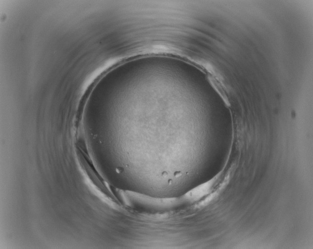 X0000066091134200603171049