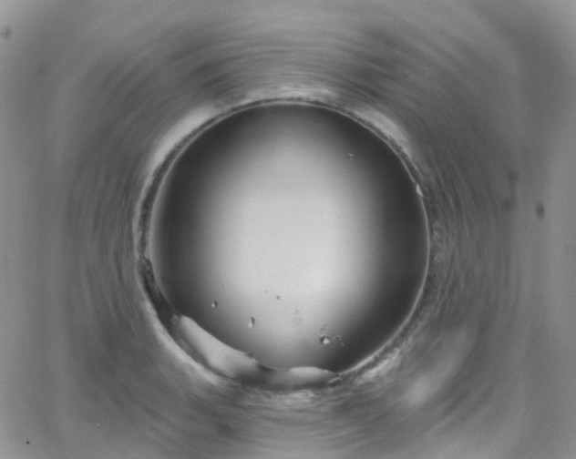 X0000066091135200603171049