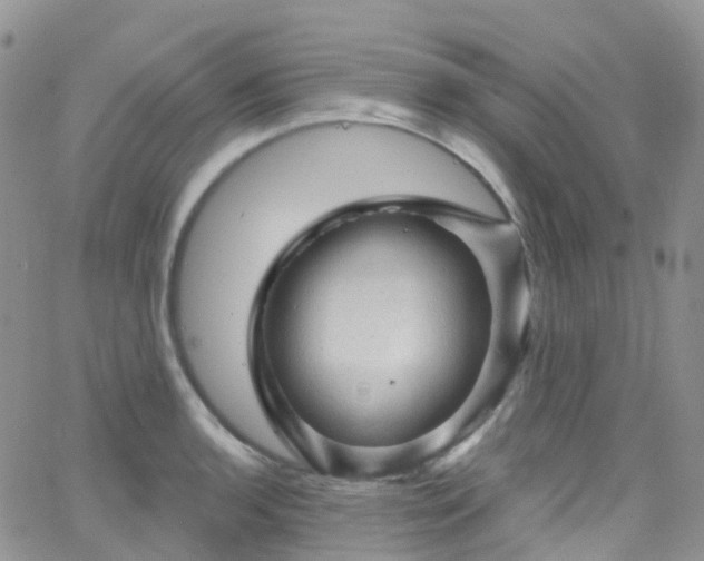 X0000066091136200603171049