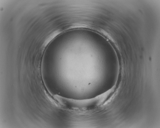 X0000066091137200603171049