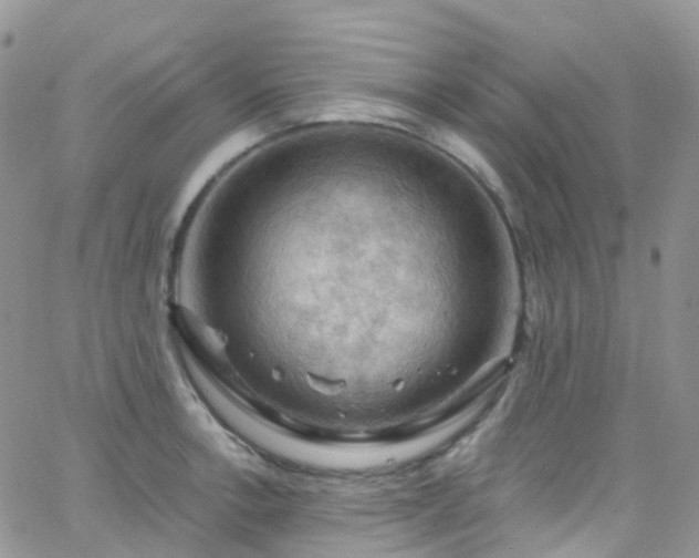 X0000066091138200603171049