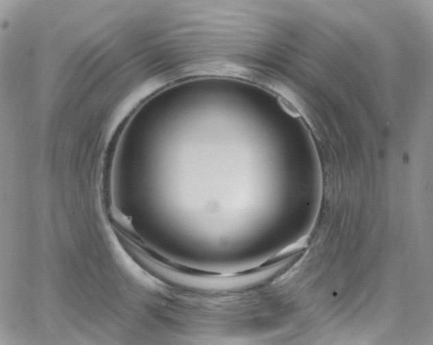 X0000066091139200603171049