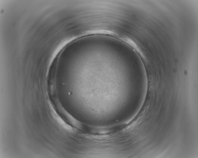 X0000066091140200603171049