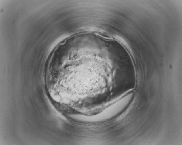 X0000066091141200603171049