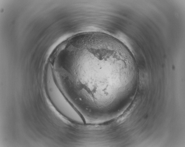 X0000066091142200603171049