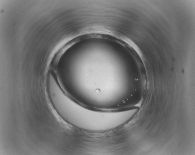 X0000066091144200603171049