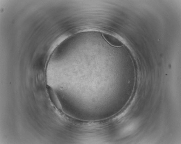 X0000066091145200603171049