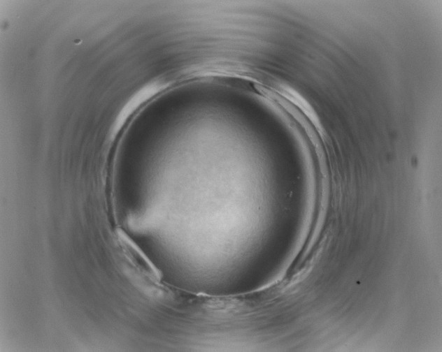 X0000066091146200603171049