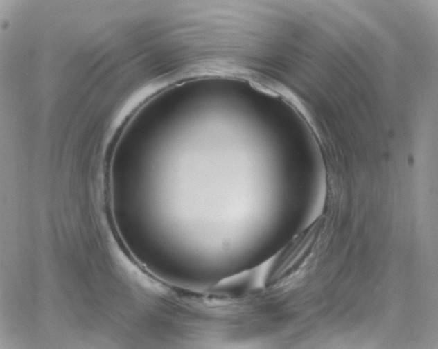 X0000066091147200603171049